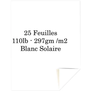 Neenah Cardstock 110 lb Smooth 8.5x11 pouces