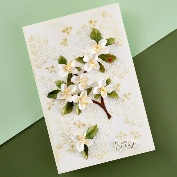 Carte de scrapbooking