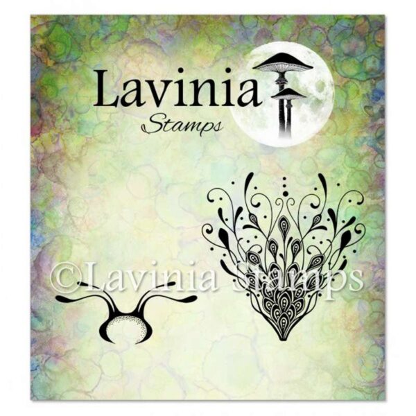 Lavinia étampe bourgeon de fleurs botaniques