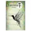 Lavinia étampem oiseau-mouche large