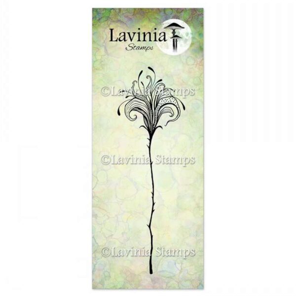 Lavinia fleur divine 1