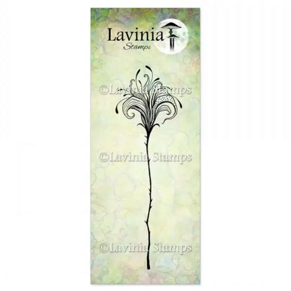 Lavinia fleur divine 1