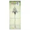 Lavinia fleur divine 2