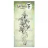 Lavinia étampe lys