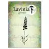 Étampe Lavinia Jacinthe des bois