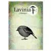 Lavinia étampe Jemima le merle