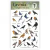 Lavinia Autocollants oiseaux Chanteurs