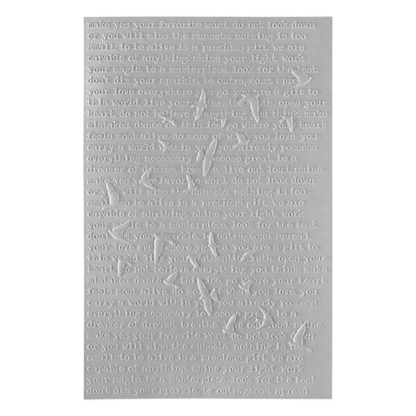 Spellbinders 3D Embossing Folder By Dina Wakley