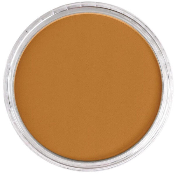 Pastel d'artiste ultra doux PanPastel Sienna