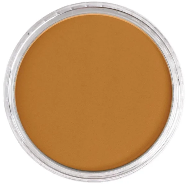 Pastel d'artiste ultra doux PanPastel Sienna