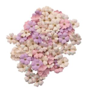 Prima fleurs printanières