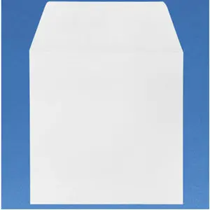 10 enveloppes de 6.5 X 6.5 pouces