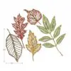 Sizzix Die Thinlits Squelettes de feuilles