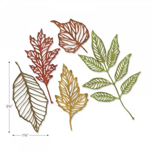 Sizzix Die Thinlits Squelettes de feuilles