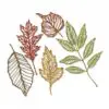 Sizzix Die Thinlits Squelettes de feuilles
