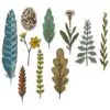 Sizzix Die Thinlits par Tim Holtz Nature Funky