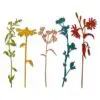 Sizzix Die Thinlits par Tim Holtz Tiges de Fleurs sauvages