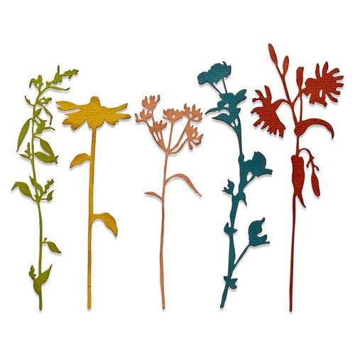Sizzix Die Thinlits par Tim Holtz Tiges de Fleurs sauvages