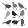 Sizzix Die Thinlits Silhouettes d'OIseaux