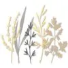 Sizzix Die Thinlits Tiges des bois
