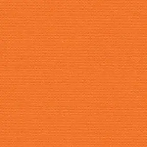 Bazzill Orange
