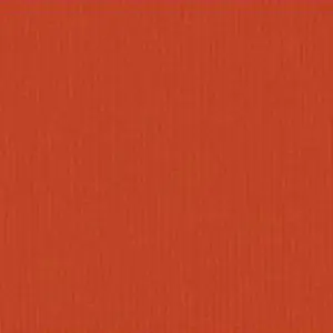 Bazzill Grass Cloth Pumpkin Patch