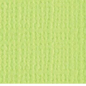 Bazzill Canvas Limeade