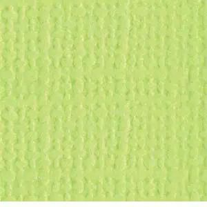 Bazzill Canvas Limeade