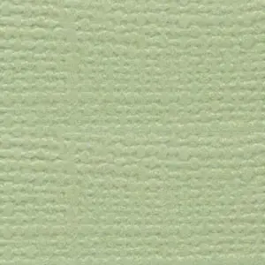 Bazzill Grass Cloth Spring Breeze