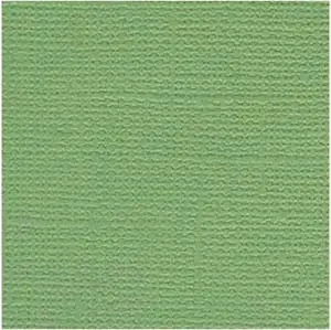 Bazzill Grass Cloth Guacamole