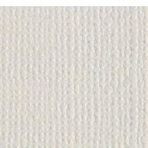 Bazzill Canvas Vanilla