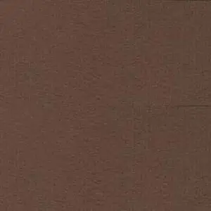Bazzill Grass Cloth Carob