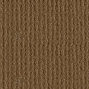 Bazzill Canvas Walnut