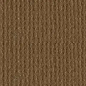 Bazzill Canvas Walnut