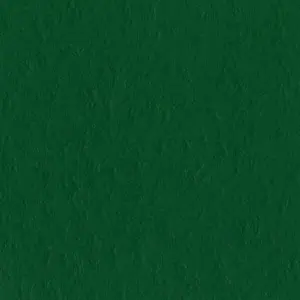 Bazzill Vert classique