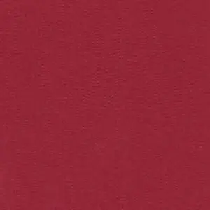 Bazzill Ruby Slipper