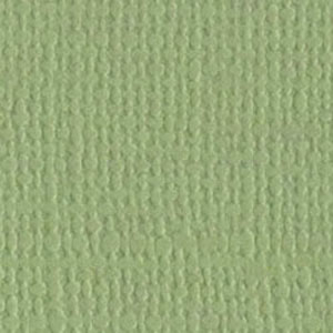 Bazzill Pear Green