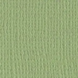 Bazzill Pear Green