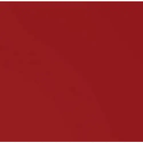 Bazzill Card Shoppe Red Hots