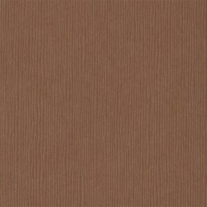 Bazzill Cardstock Cinnamon Stick