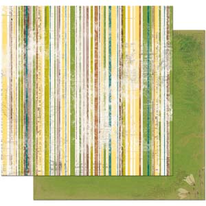 Bo Bunny Papier Trail Mix Stripe