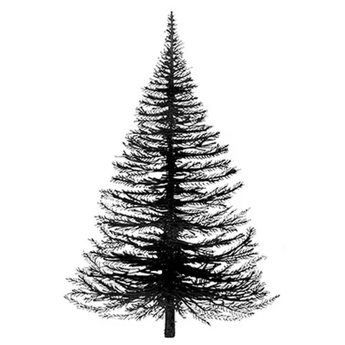 Lavinia Étampe Sapin