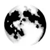 Lavinia Étampe Lune