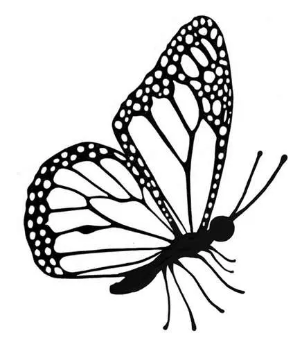 Lavinia Étampe Mini Papillon