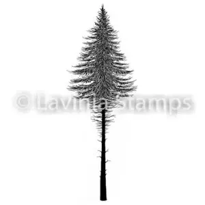 Lavinia Étampe Sapin 2