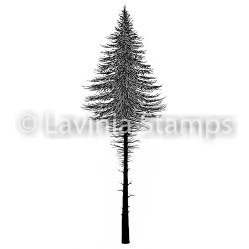 Lavinia Étampe Sapin 2