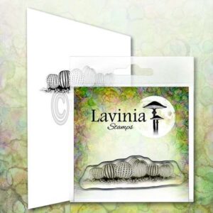 Lavinia Étampe Oursins