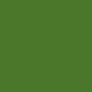Bazzill mono Canvas/Green Maze