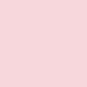 Bazzill mono Canvas/Pink Cloud