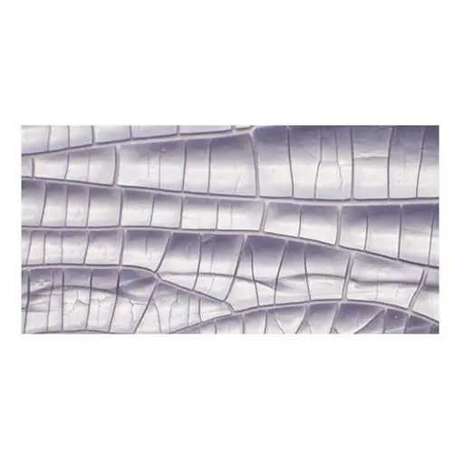 Nuvo Crackle Mousse Misty Mauve